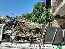 Best Demolition Debris Removal  in Mccamey, TX
